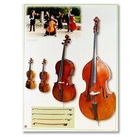 Strings Instrument Poster