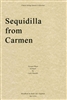 Sequidilla From Carmen Quartet