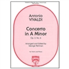 Concerto in A Minor, Op. 3, No. 6 for Violin and Piano - Vivaldi