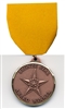 Bronze Star Award Medal