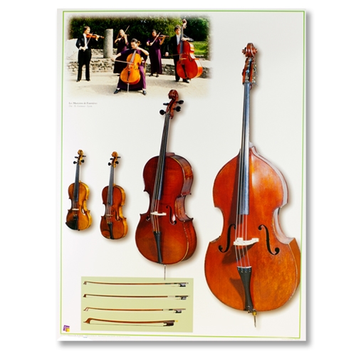 Strings Instrument Poster