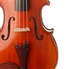 Franzo Bartali  15.5" Viola