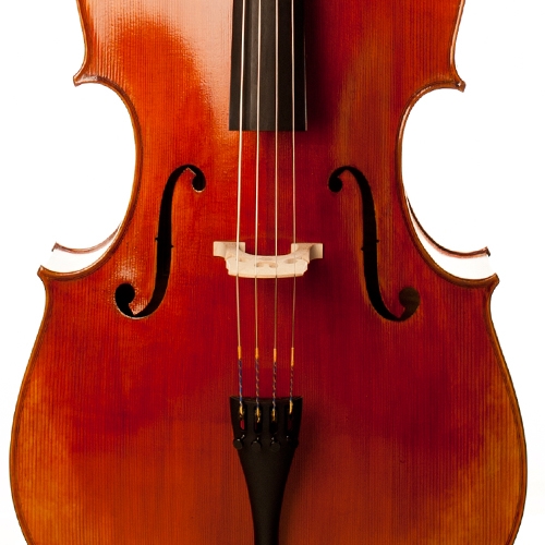 Peter Kauffman Cello