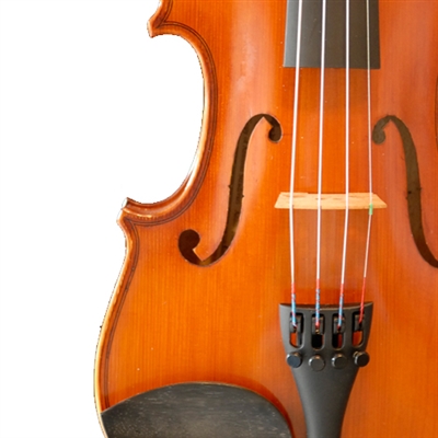 Rosalia Violin